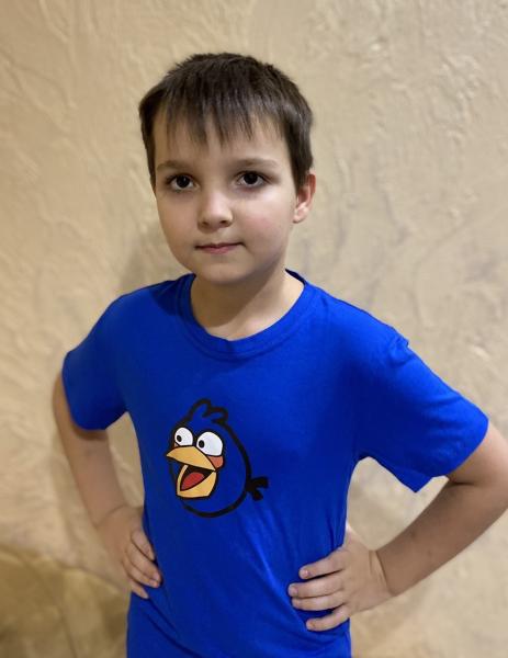 купить Детская синяя  футболка Angry Birds , плотность 160г на кв.м  , футболка детская злые птички