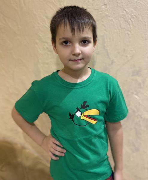 купить Детская зелёная  футболка Angry Birds , плотность 160г на кв.м  , футболка детская злые птички  